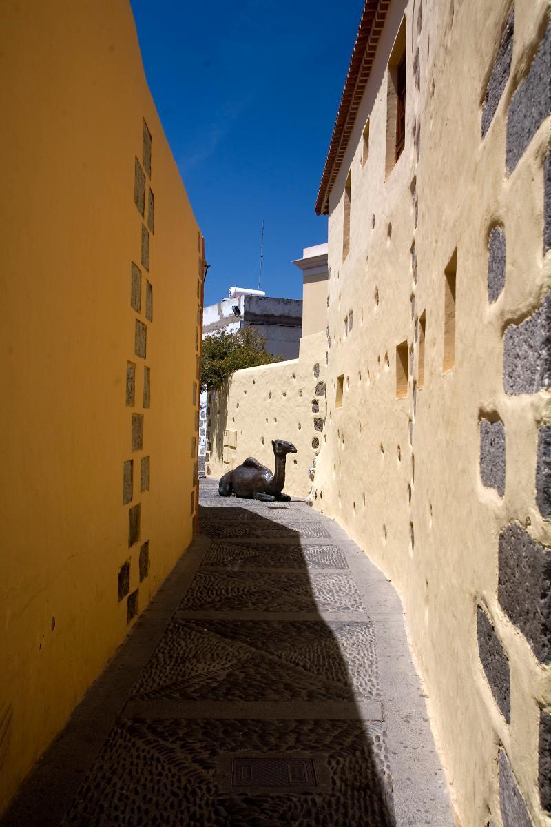 Hotel Rural Casa De Los Camellos Aguimes Exterior photo